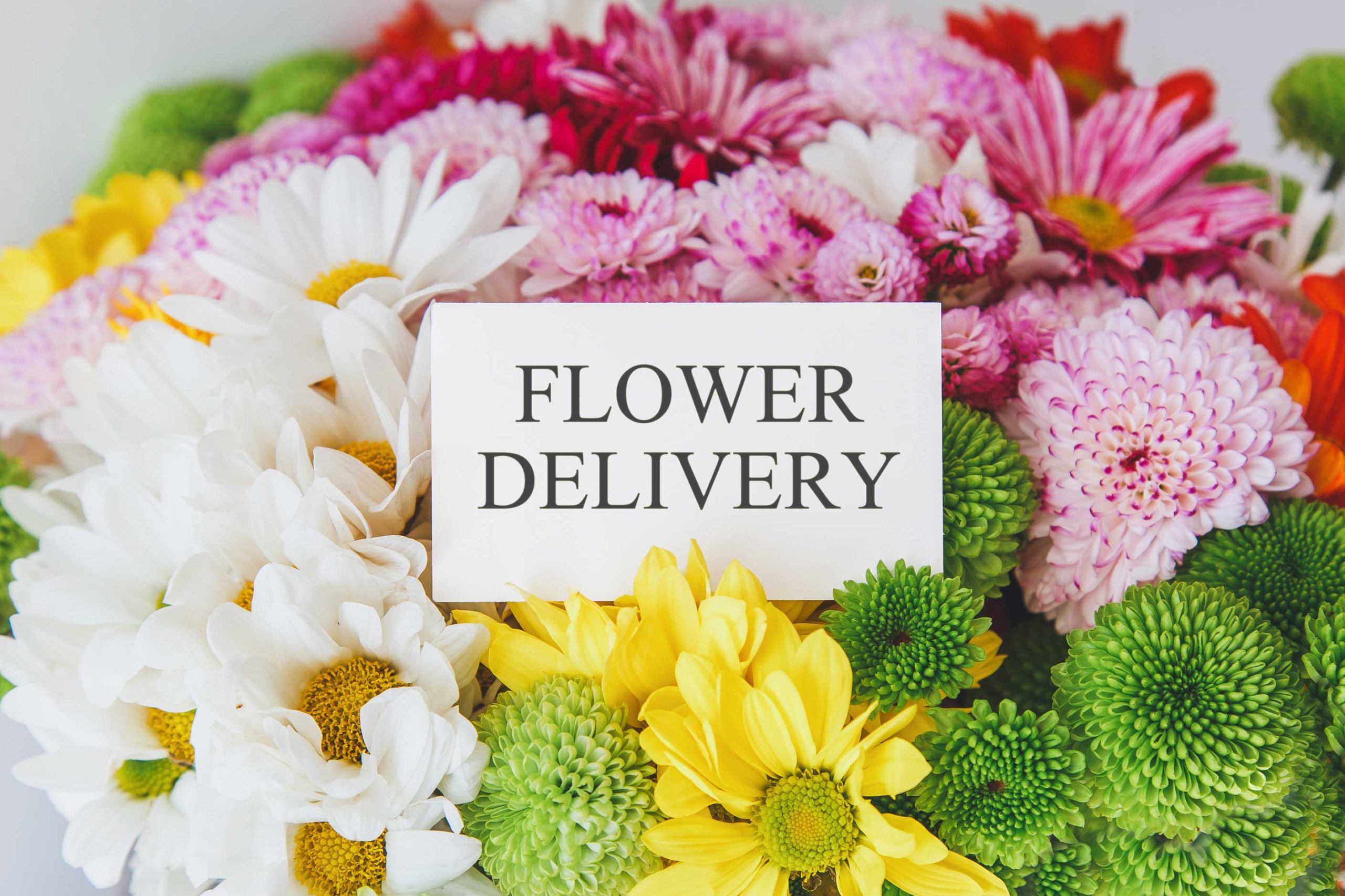 same-day-flower-delivery- New Orleans